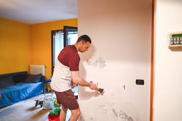 Best Office Mold Removal Services  in Clear Lake Shores, TX