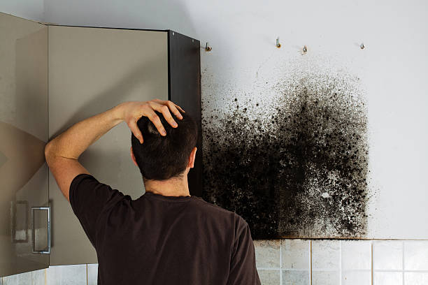 Best Emergency Mold Removal  in Clear Lake Shores, TX